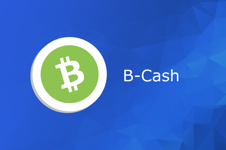 Bitcoin Cash